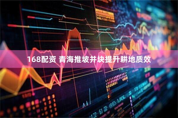 168配资 青海推坡并块提升耕地质效